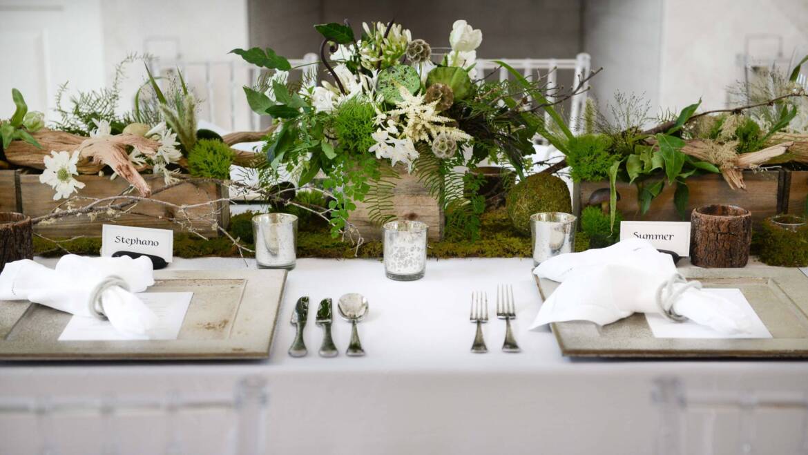 Design & Decor