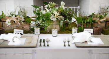 Design & Decor